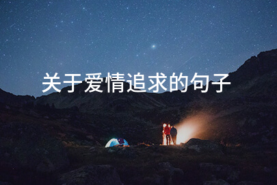 关于爱情追求的句子