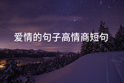 爱情的句子高情商短句