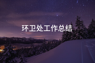 环卫处工作总结