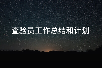 查验员工作总结和计划