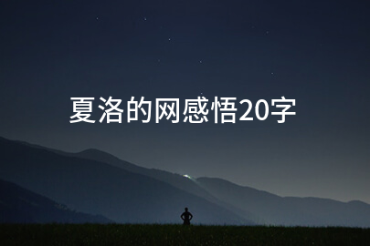 夏洛的网感悟20字