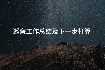 巡察工作总结及下一步打算