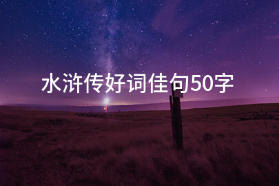 水浒传好词佳句50字