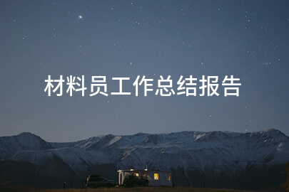 材料员工作总结报告