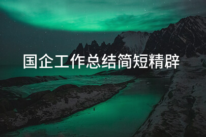国企工作总结简短精辟