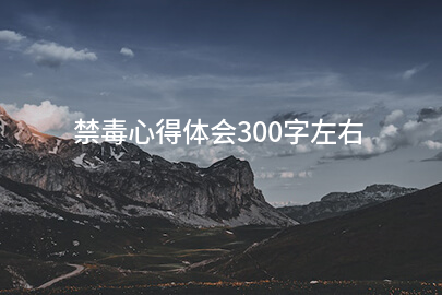 禁毒心得体会300字左右