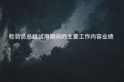 检验员总结试用期间的主要工作内容业绩及需要改善之处