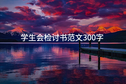 学生会检讨书范文300字