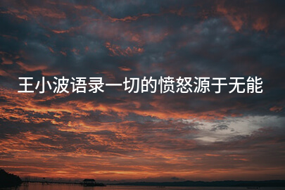 王小波语录一切的愤怒源于无能