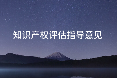 知识产权评估指导意见
