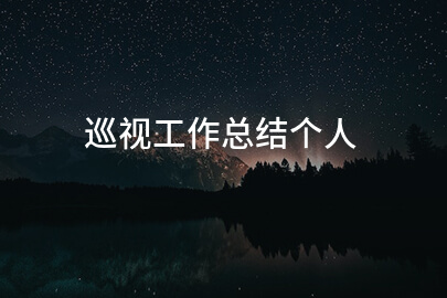 巡视工作总结个人