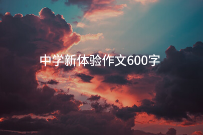 中学新体验作文600字