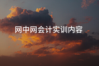 网中网会计实训内容