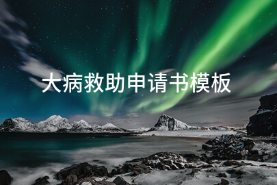 大病救助申请书模板