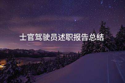 士官驾驶员述职报告总结