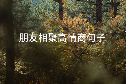 朋友相聚高情商句子