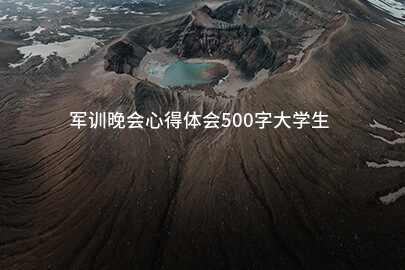 军训晚会心得体会500字大学生