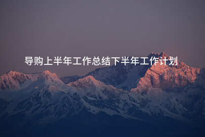 导购上半年工作总结下半年工作计划