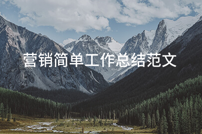 营销简单工作总结范文