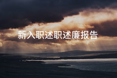 新入职述职述廉报告