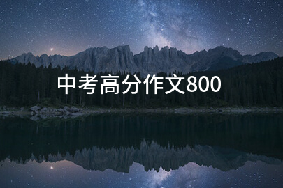 中考高分作文800