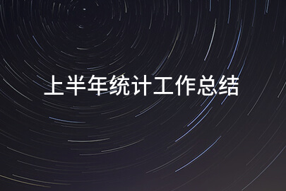 上半年统计工作总结