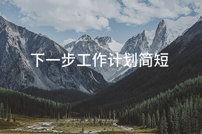 下一步工作计划简短