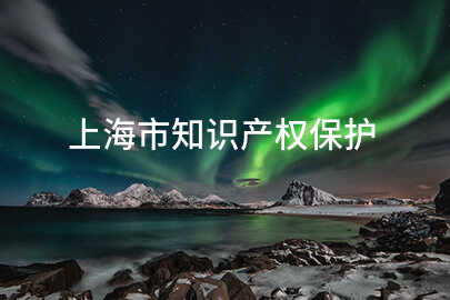 上海市知识产权保护