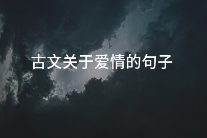 古文关于爱情的句子