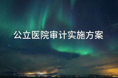 公立医院审计实施方案