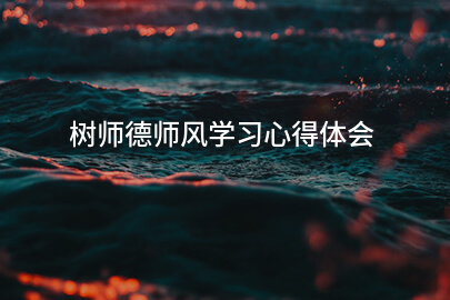树师德师风学习心得体会