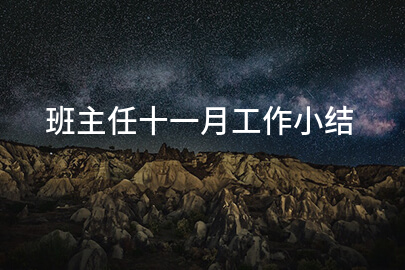 班主任十一月工作小结