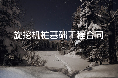 旋挖机桩基础工程合同