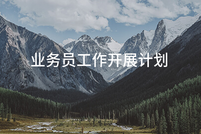 业务员工作开展计划