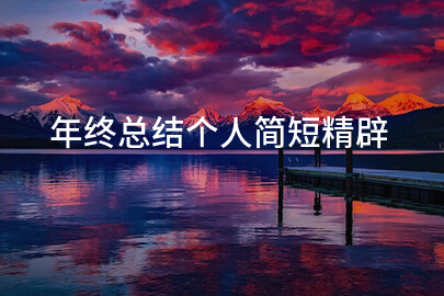 年终总结个人简短精辟