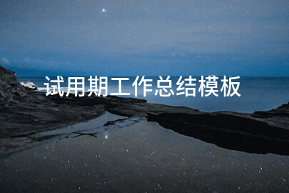 试用期工作总结模板