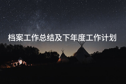 档案工作总结及下年度工作计划