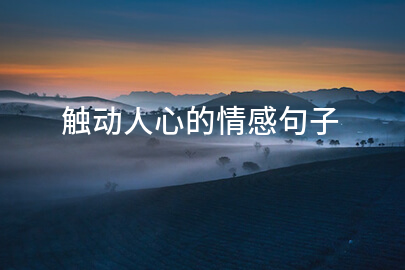 触动人心的情感句子