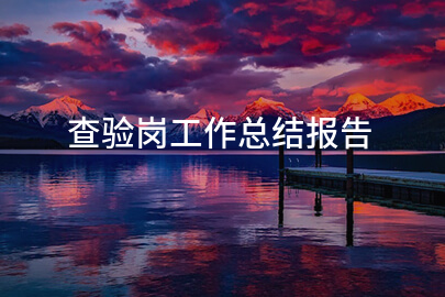 查验岗工作总结报告