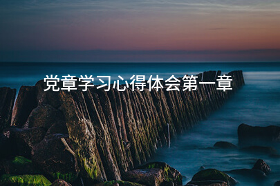 党章学习心得体会第一章